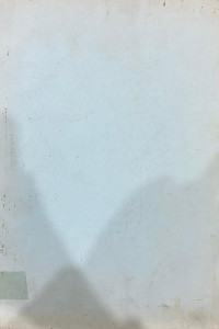 Image of The Development of the Indonesian Socialist Party